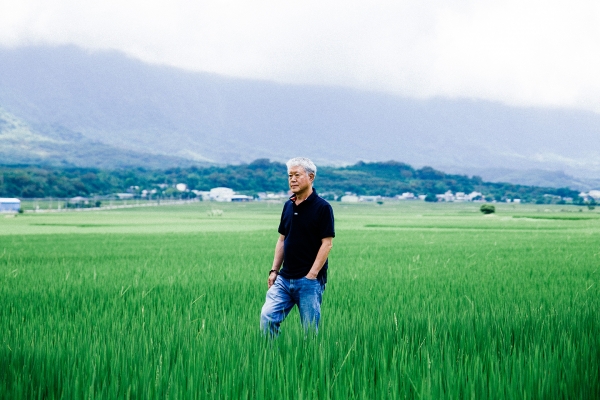 池上駐留|
蔣勳畫池上,
一田一水反映內心澎湃風景