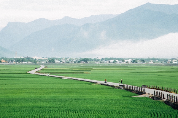 池上駐留|
一望無際碧綠,品味豐富人文