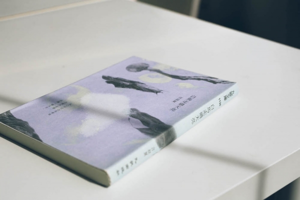 流動的窗口——言叔夏的負面書寫與負片風景(上)