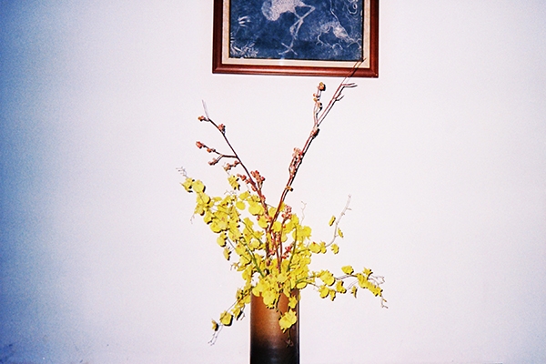 什麼是理想的簡單生活?(一):關於「極簡主義」