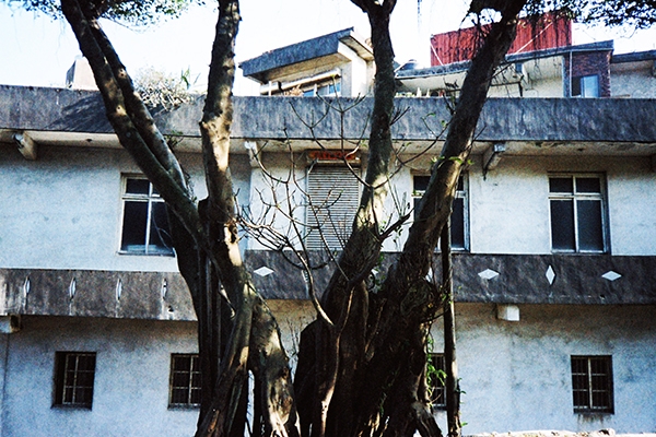 什麼是理想的簡單生活?(二):「春至陋室中,無一物中萬物足」