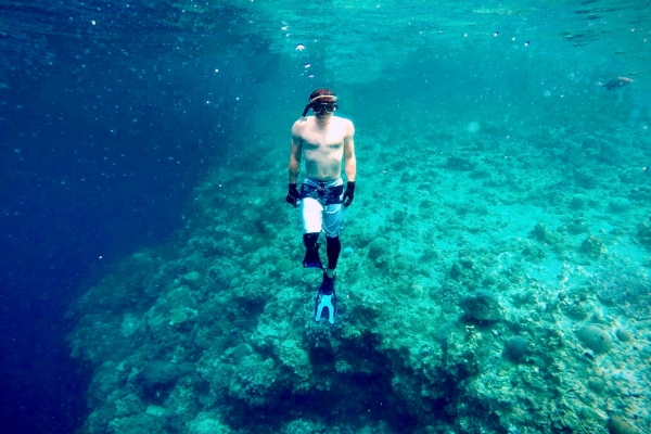 夏季徵才：
水深火熱，需要設計助理！（已截止）