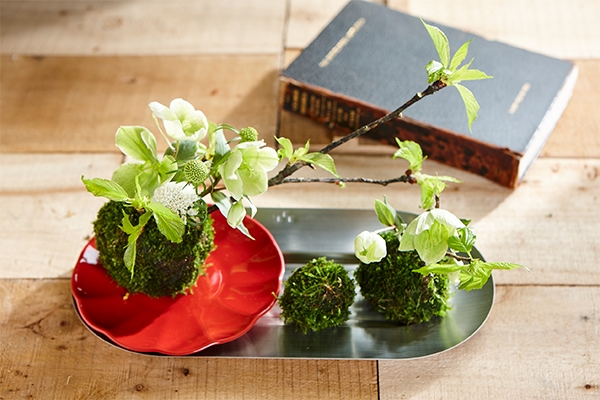 剪一支花來妝點日常:好時光系列盤組