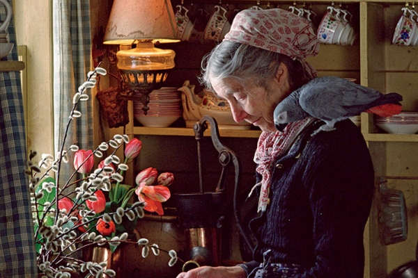 畫裡的花,是從我的花園長出來的:活在田園的畫家塔莎杜朵