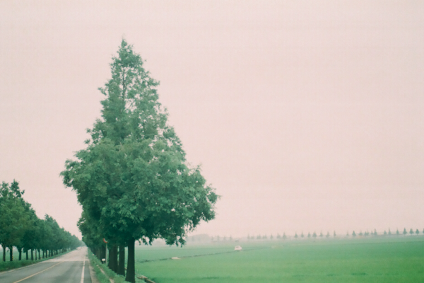 Surely, but Slowly|眷