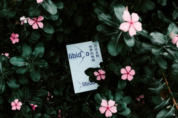 十月選書|在搖滾樂裡燃燒你的精神分析魂,《力比多對世界的吶喊》