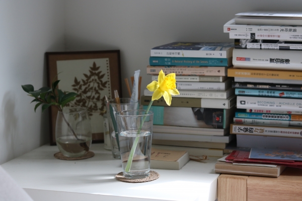 一隅有花｜水仙花：比起認識自己，我們需要想像一個喜歡的自己