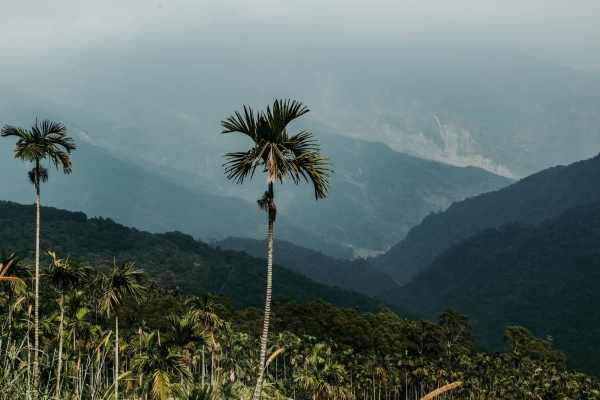 編輯地方|把身體拋擲給這塊土地——給屏東初心者的體驗推薦