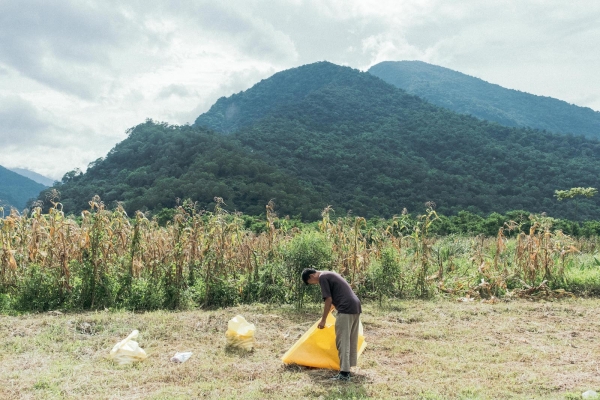 啤酒與他們的產地：走訪南安清水，禾餘麥酒契作的玉米田風景