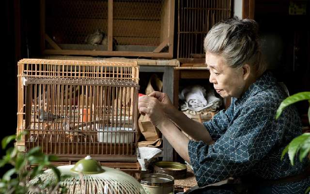 樹木希林最後的訪談——討厭的人，會讓電影更有趣