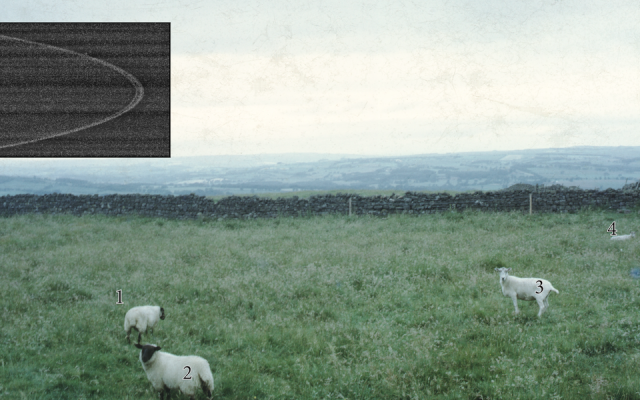 當現實比電影離奇，直播比創作驚人：香港影像創作者看南方影展