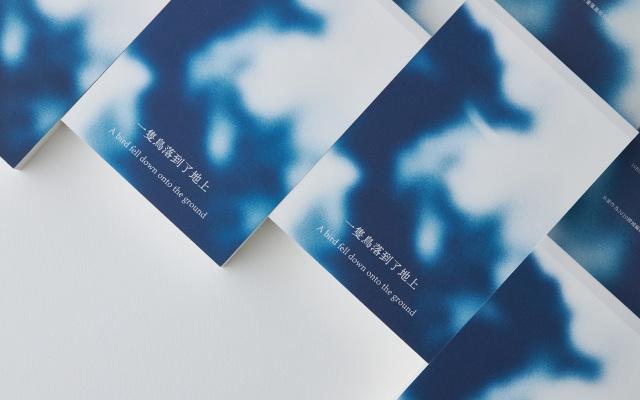 從印製到發行都成為藝術——翻閱《鳥落地後》，自生至死的輪迴