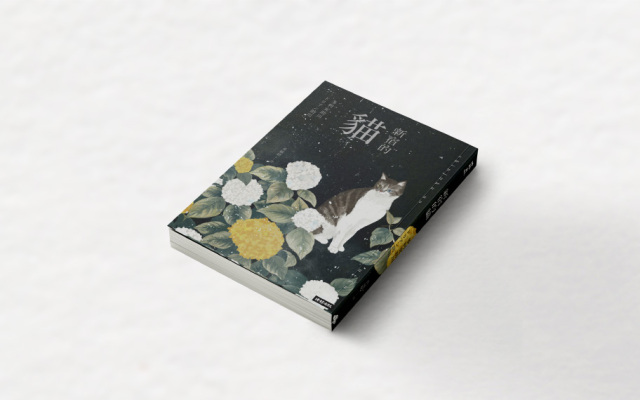 陳又津讀《新宿的貓》：當我們無法拯救任何人時，奇蹟是什麼？