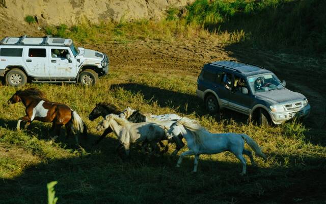 讓一面車窗哭泣的方式──《野馬分鬃》到《永安鎮故事集》，專訪導演魏書鈞