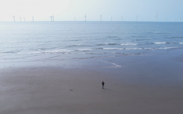 《鯨之聲》：100 座離岸風機，與一隻海豚的擱淺