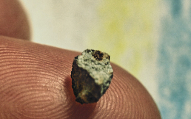 切開中藥片,蟄伏一隻蟲:這就是一個宇宙──台北雙年展「小世界」的觀看