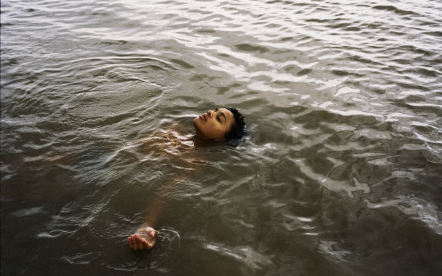 2024 坎城影展|片單分析(一):罷工後的選片大不易