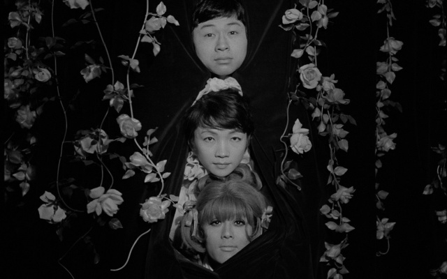 跨性別眼中的影史十大片單：酷或不酷，都是最佳